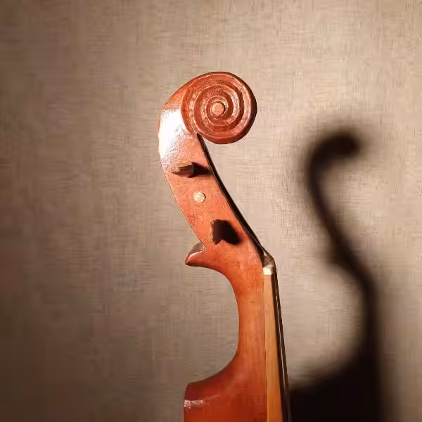 Descubre el Poder del Rabel de Boj en el Aprendizaje Lingüístico